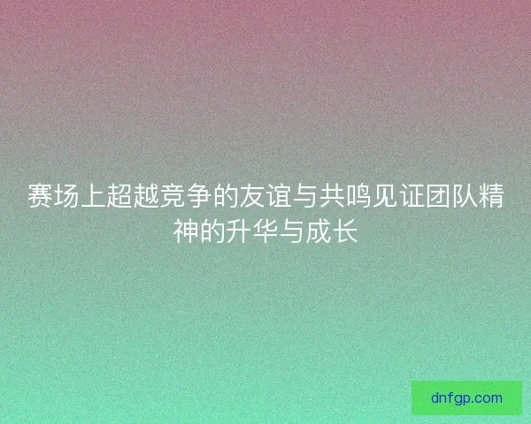 赛场上超越竞争的友谊与共鸣见证团队精神的升华与成长